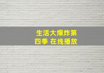 生活大爆炸第四季 在线播放